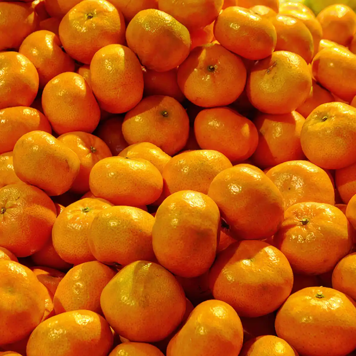 Bild 2 von Dream-Früchte Clementinen XXL