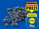 Bild 1 von Heidelbeeren,  250 g