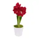 Bild 2 von GARDENLINE Amaryllis im Keramiktopf