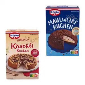 DR. OETKER Winterliche Backmischung