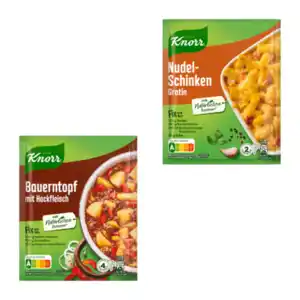 KNORR Fix Nudel-Schinken-Gratin, 32 g - Spaghetti Napoli, 39 g - Bauerntopf Hack, 43 g - Gulasch, 49 g