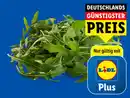 Bild 1 von Rucola,  125 g