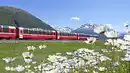 Bild 1 von Graubünden - Die schönsten Zugstrecken der Schweiz inkl. Bernina und Glacier Express