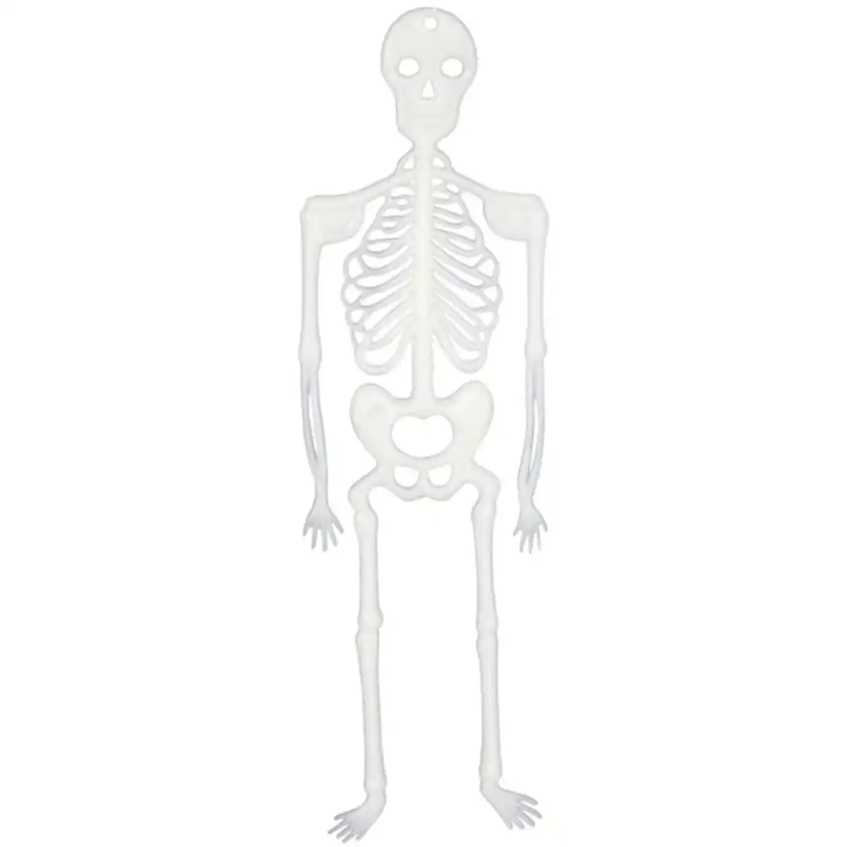Bild 1 von Skelette - Glow in the dark - ca. 30 cm hoch - 4 St&#252;ck