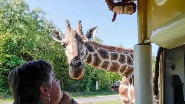 Bild 1 von Eigene Anreise Hodenhagen: Abenteuer im Serengeti-Park Hodenhagen