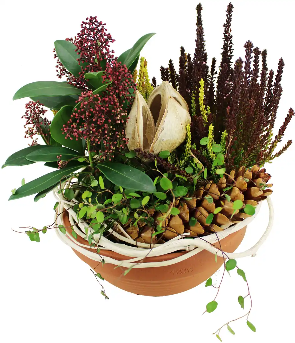 Bild 1 von Arrangement Outdoor Nr. 46 Tonschale Nature