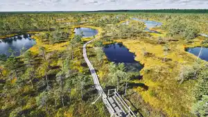 Rundreisen Baltikum: Geschichte, Natur und Kultur in drei Ländern