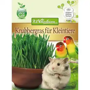 Knabbergras für Kleintiere