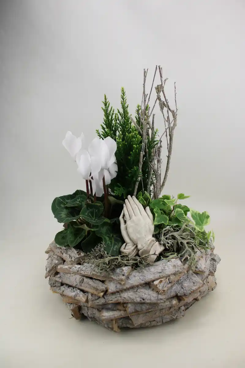 Bild 1 von Arrangement Outdoor Nr. 19 Rindenschale