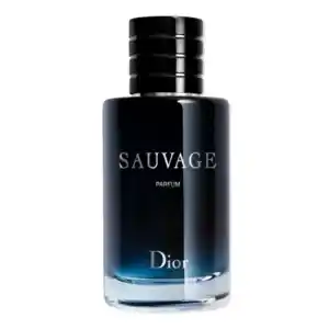 DIOR Sauvage DIOR Sauvage SAUVAGE Parfum 100.0 ml