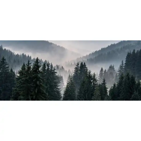 Bild 1 von Bönninghoff Keilrahmenbild Wald B/H/L: ca. 60x2,3x140 cm