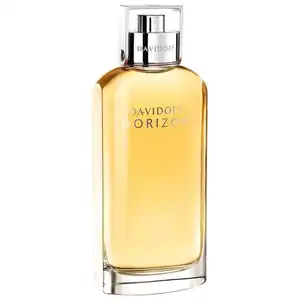 Davidoff Horizon  Eau de Toilette (EdT) 125.0 ml