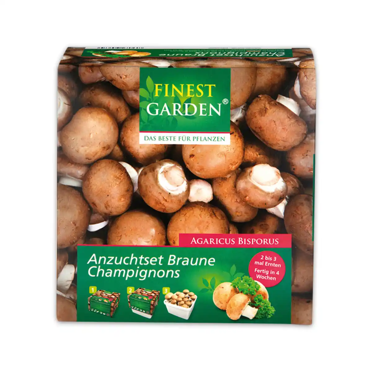 Bild 2 von Finest Garden Champignon-Anzuchtset