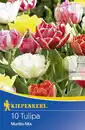 Bild 1 von Kiepenkerl Gefüllte Frühe Tulpe Murillo Mix
, 
Tulipa x Hybrida