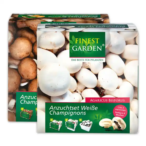 Bild 1 von Finest Garden Champignon-Anzuchtset