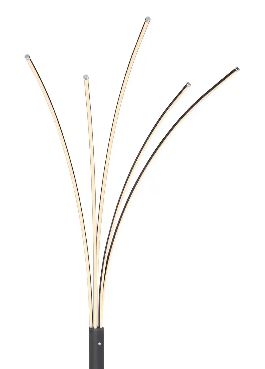 Bild 4 von Lighting - BIZZY - Stehleuchte Metall schwarz matt, LED