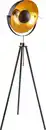 Bild 1 von Lighting - LENN - Stehleuchte Metall schwarz, 1x E27