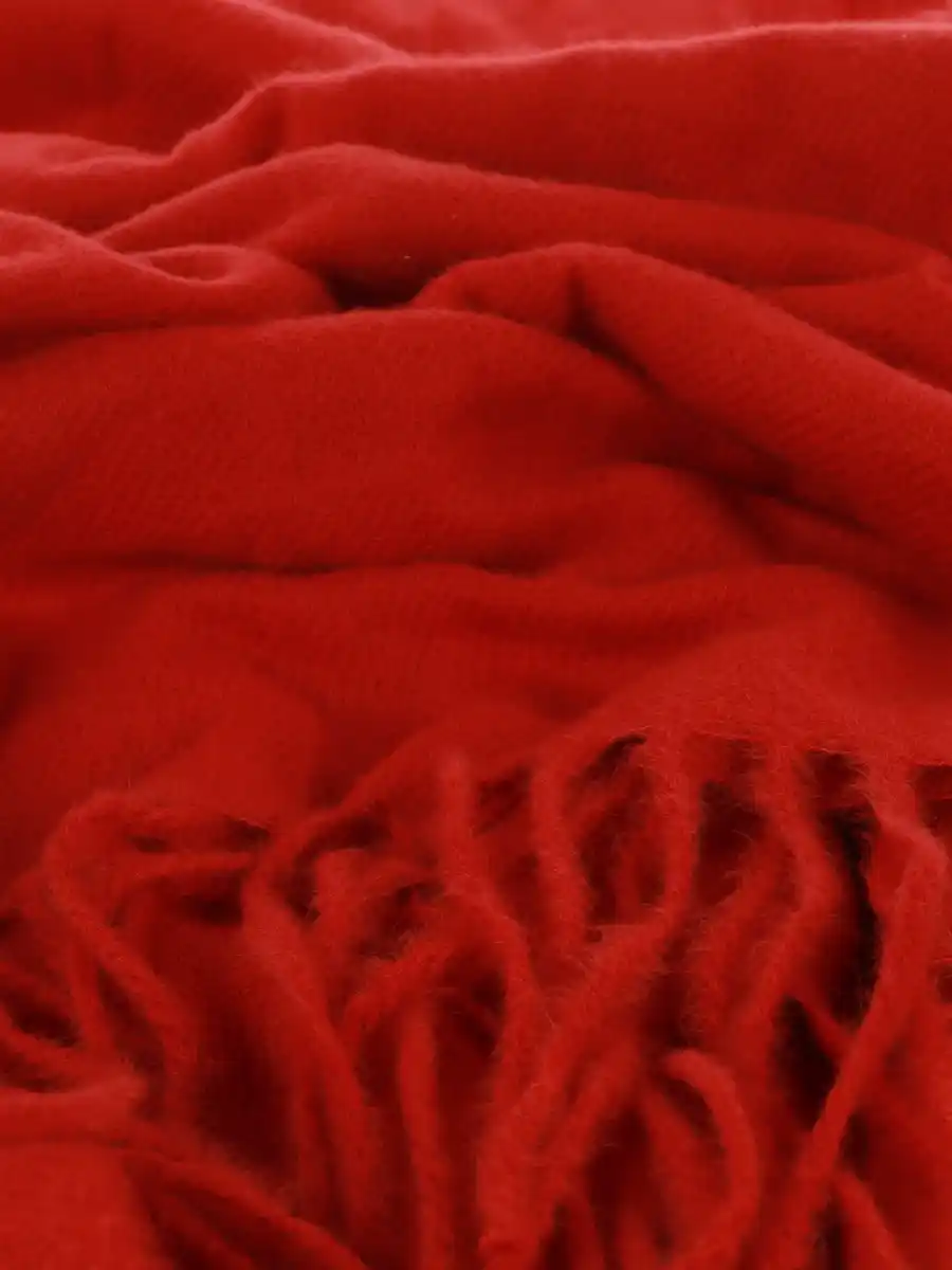 Bild 2 von Damen Schal mit Fransen Rot