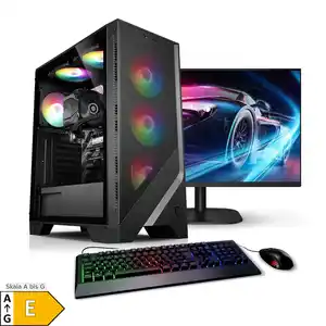 PC Set mit 24 Zoll TFT Online Gamer AMD Ryzen 5 4600G, 8GB DDR4, AMD Vega Grafik, 1TB SSD