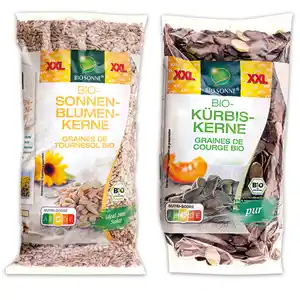 Bio Sonne Bio-Kerne XXL