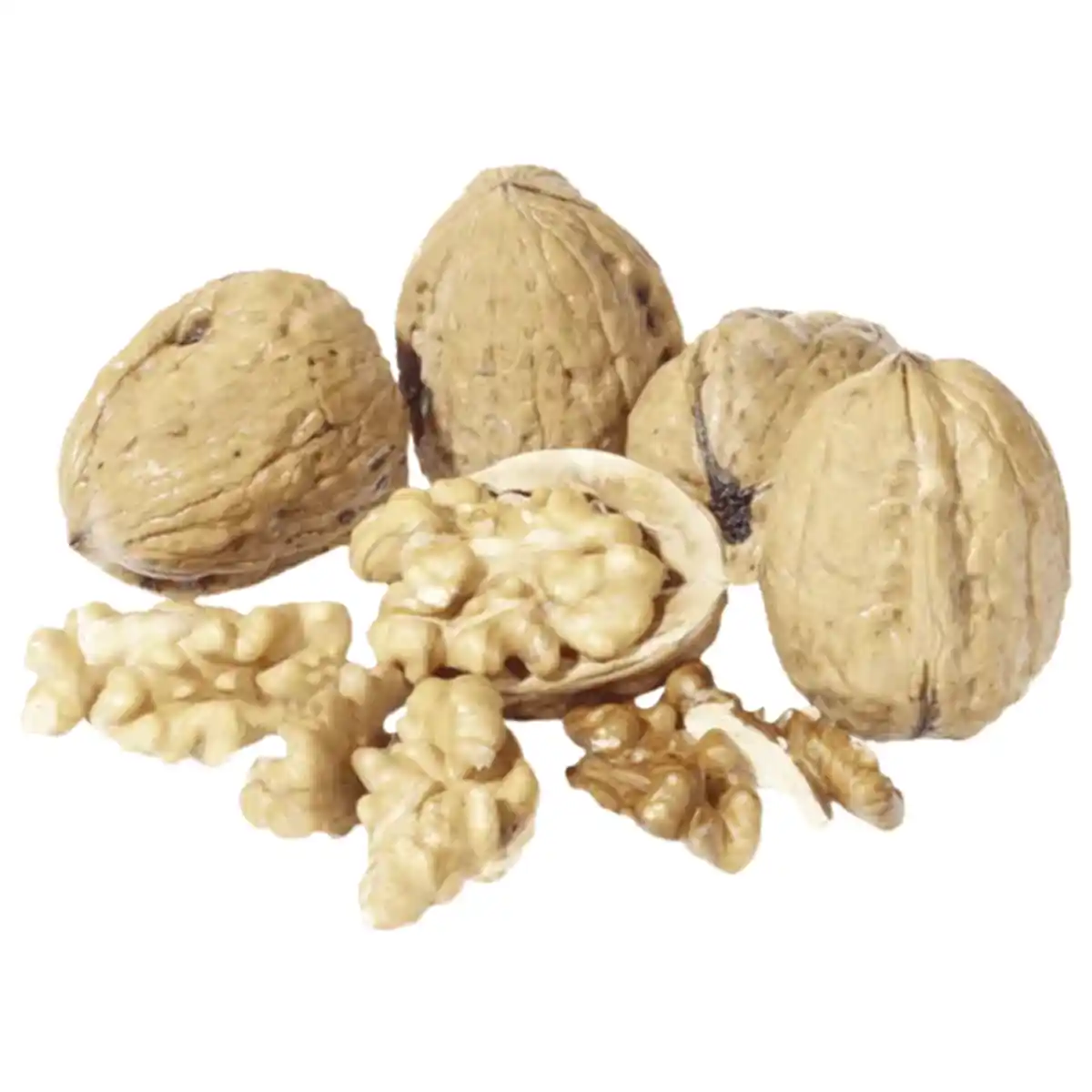 Bild 1 von Frankreich/Israel Walnüsse, Erdnüsse, Maronen oder Haselnüsse