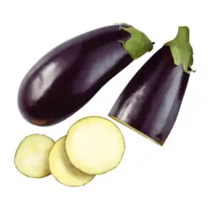 Aubergine