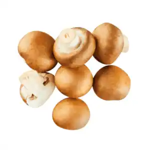 GUT BIO Bio-Kulturchampignons braun 250g