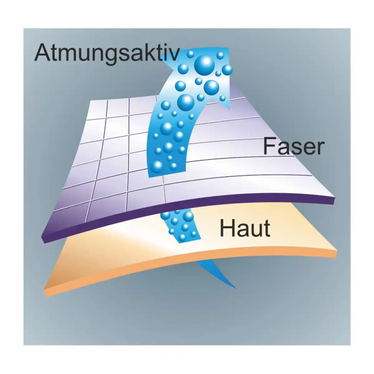 Bild 2 von Toptex Sport Funktionswäsche