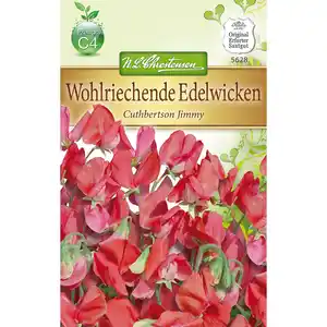 Lathyrus Edelwicken Cuthbertson Jimmy für ca. 50 Pflanzen