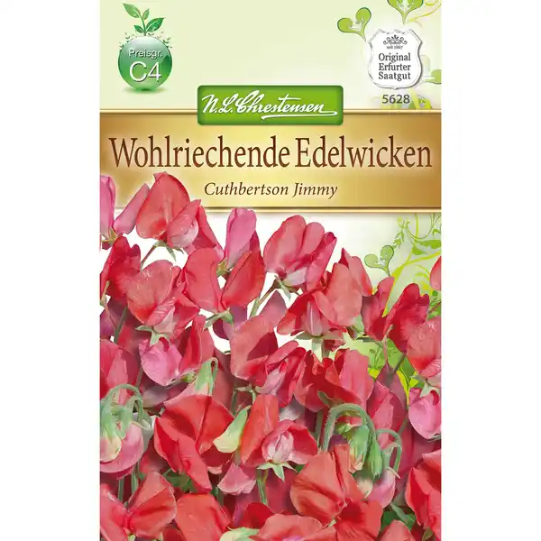 Bild 1 von Lathyrus Edelwicken Cuthbertson Jimmy für ca. 50 Pflanzen