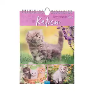 Wochenkalender Katzen 2025