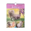 Bild 1 von Wochenkalender Katzen 2025