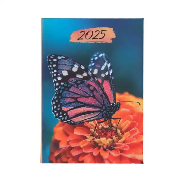 Bild 1 von Taschenkalender 2025 Schmetterling A7