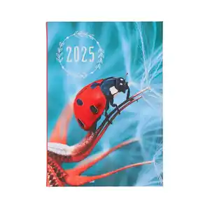 Taschenkalender 2025 Marienkäfer A7