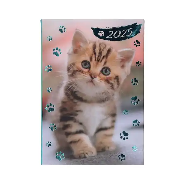 Bild 1 von Taschenkalender 2025 Katze A7