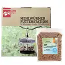 Bild 1 von Mehlwürmer Futterstation zum Hängen mit 1 kg Mehlwürmern