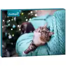 Bild 1 von ZooRoyal Adventskalender 2024 Katze 200g