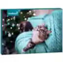 Bild 4 von ZooRoyal Adventskalender 2024 Katze 200g