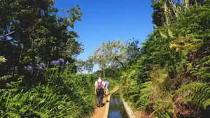 Badereisen Portugal - Madeira: Wanderreise mit Aufenthalt im Hotel Madeira Panorâmico in Funchal