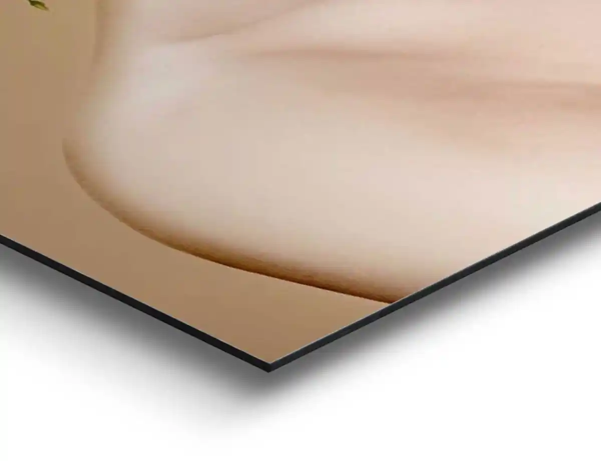 Bild 1 von Bild florales Gesicht