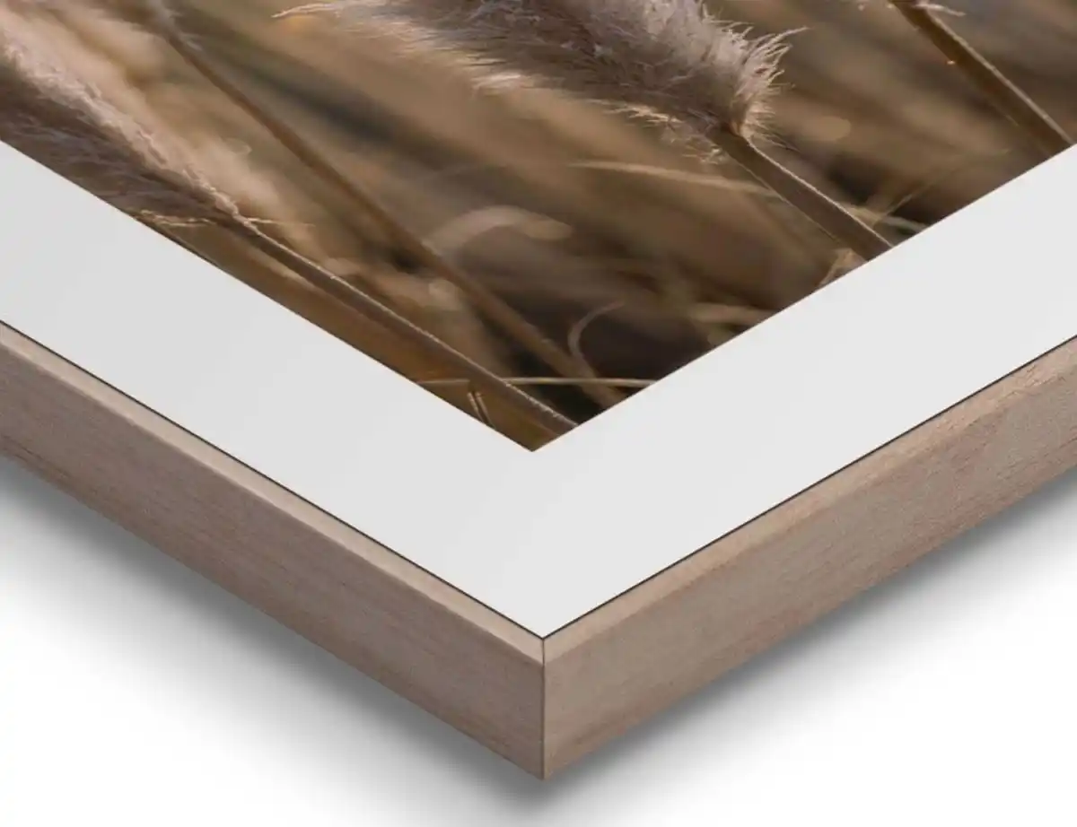 Bild 3 von Bild Slim Frame Wood Pampasgras 2