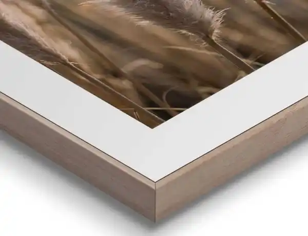 Bild 3 von Bild Slim Frame Wood Pampasgras 2