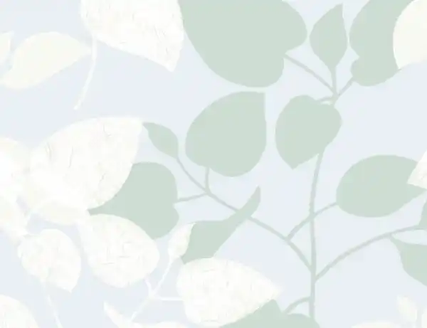 Bild 2 von d-c-fix Glasdekorfolie Amena