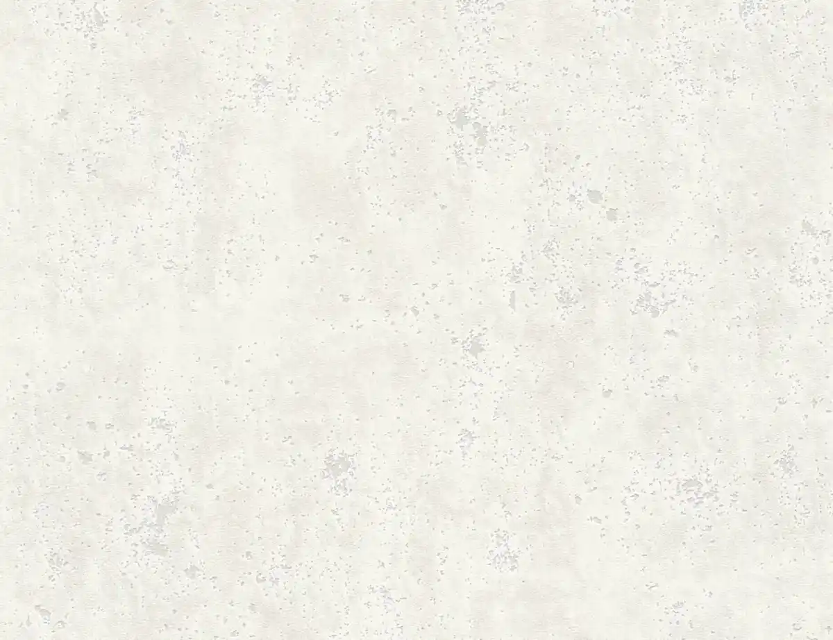 Bild 1 von Vliestapete Hellgrau Betonoptik