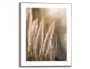 Bild 1 von Bild Slim Frame Wood Pampasgras 2