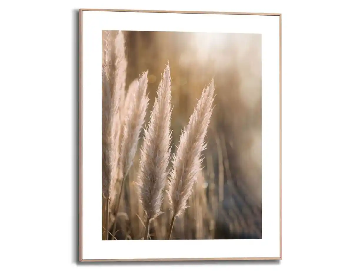 Bild 1 von Bild Slim Frame Wood Pampasgras 2