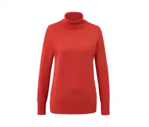 Feinstrick-Rollkragenpullover, rostrot