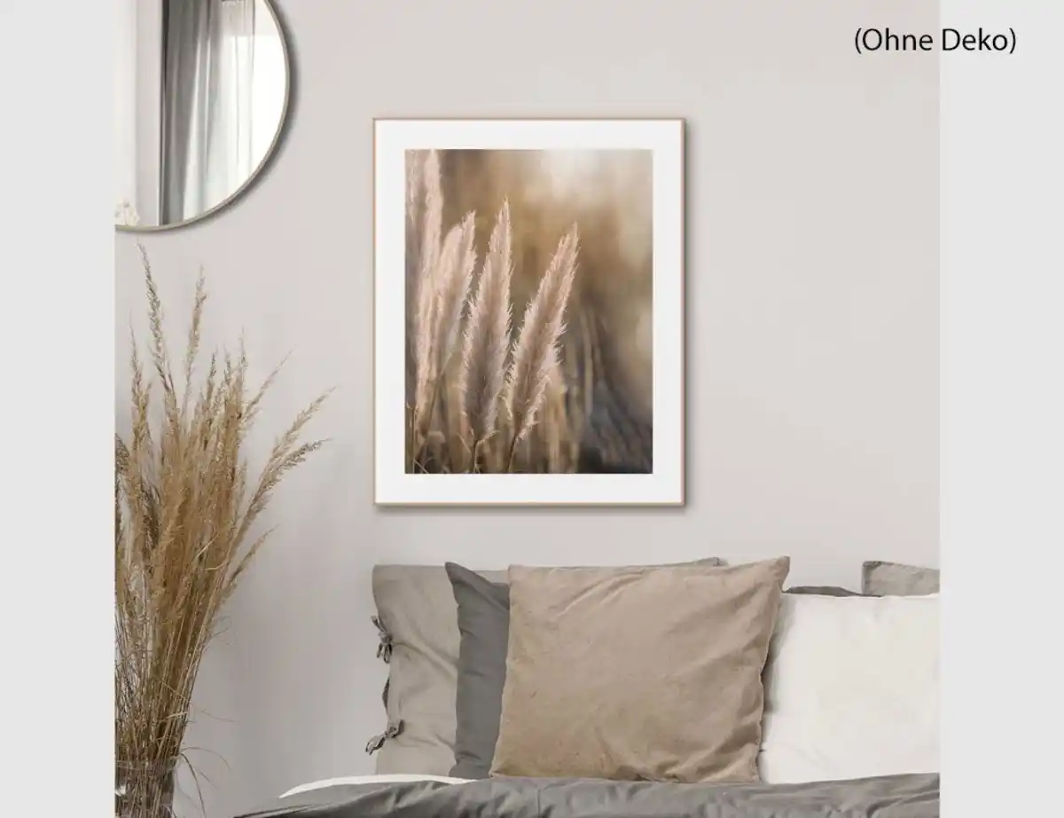 Bild 2 von Bild Slim Frame Wood Pampasgras 2
