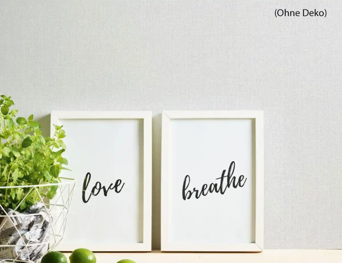 Bild 4 von Vliestapete Uni Hellgrau modern