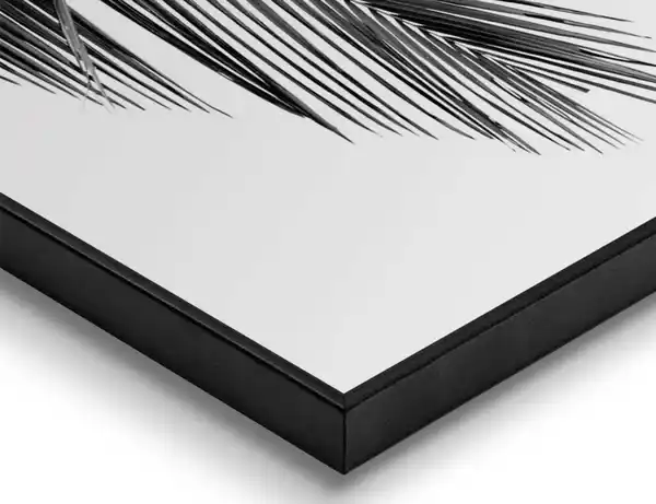 Bild 3 von Bild Slim Frame Black Palme